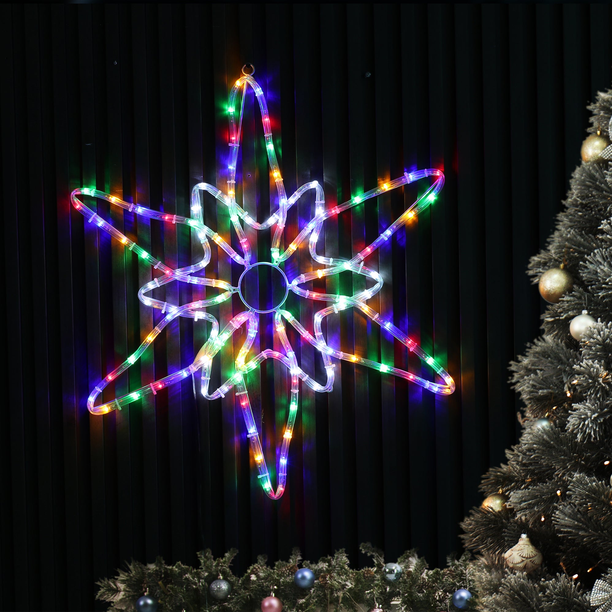 LED Northern Star Rope Light Silhouette - 2 Colour Options – Lexi Lighting