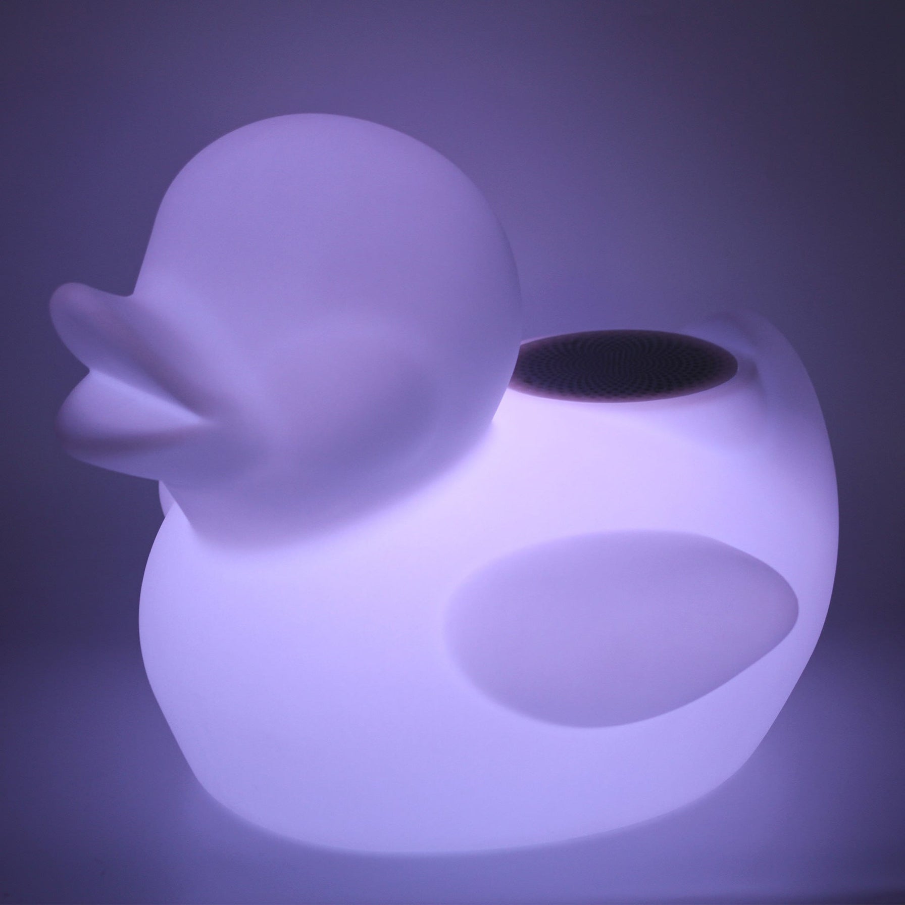 LED Floating Duck Bluetooth Speaker Light – Lexi Lighting